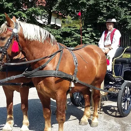 Rekreačná Oliver * Strecno